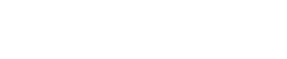 WiserBrand Logo